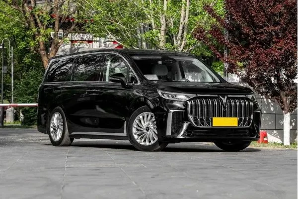 Электромобиль Voyah Dreamer 2022 EV