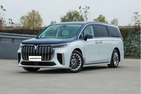 Электромобиль Voyah Dreamer 2022 EV